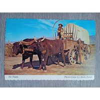 Этнография. США, Калифорния. Крытая повозка, запряжённая волами