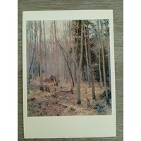 Грицай. Подснежники. Осинник