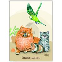 Домашние питомцы. Открытка, глянец