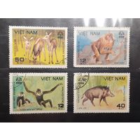 Вьетнам. Фауна (608)