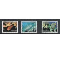 Полинезия -1980 (Мих.301-303) , ** , Морская фауна, Рыбы(полная серия)