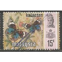 Малайские штаты(Келантан). Дневная бабочка. 1971г. Mi#102.