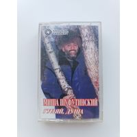 Кассета Миша Шуфутинский - Гуляй душа