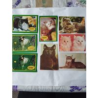 Календарики карманные СССР, винтаж.Кошки.89,91г. Одним лотом(8 шт)