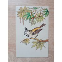 Тренделева 1983 не подписана