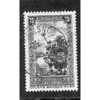 Французский Алжир. Ландшафт. Пальмовая роща Узд Бешар. 75с