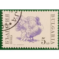 Болгария 1991. Индейка