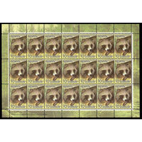 Беларусь. 2008. Стандарт. Енотовидная собака (10р) (з.370-2008) Лист