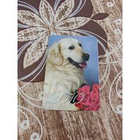 Календарик,собака,2010