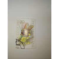 Марки СССР 1989 ПЧЁЛЫ 20к.