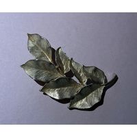 Брошь Листики Розы Sphinx Англия 60-е клеймо