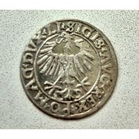 Полугрош 1564 г. Сигизмунд II Август.