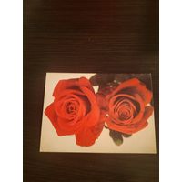 Открытка,Польша,подписана