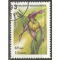 Республика Мадагаскар. Цветы. Башмач0к настоящий. 1993г. Mi#1571.