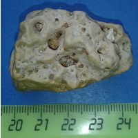 Минерал, окаменелость, с включением других кристалов, не частый