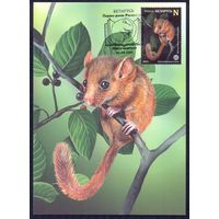 Беларусь 2021 Картмаксимумы фауна