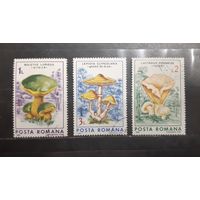Румыния. 1986 год. Флора. Грибы (691)