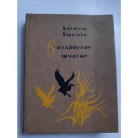 Кастусь Кірэенка. Вандроўнае шчасце.