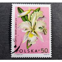 Марка Польша 1965 год Цветы