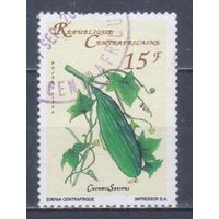 [190] ЦАР 1996. Флора.Плоды.Огурец. Гашеная марка.