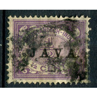 Нидерландская Индия - 1908г. - надпечатка Java на 1/2 с - 1 марка - гашёная [Mi 61]. #3-WB-83-A-1