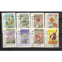 ФФ1 СССР Флора