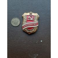 Значок легкий Дружинник
