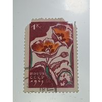 Распродажа коллекции с рубля ! Марки СССР  . Флора .