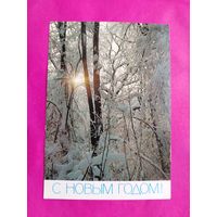 С новым годом! Чистая. 1987 года. Фото Жаворонкова. 2594.