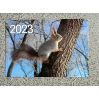 Календарик карманный 2023 белка Фауна