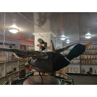 Чучело Утки