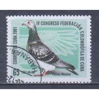 [2270] Куба 2001. Фауна.Птицы.Голубь. Гашеная марка. 2