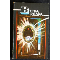 Ветка кедра