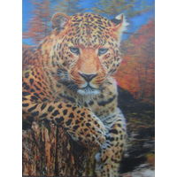 Переливашка,стерио ,картина 3,Д ,2000 год .