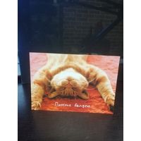 Открытка Hallmark