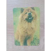 Календарик 1991