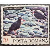 Румыния 1992. Фауна. Птицы. Haematopus Bachmani