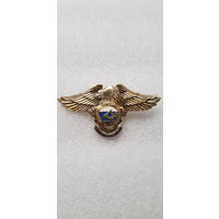 98 гв. ВДД Россия*