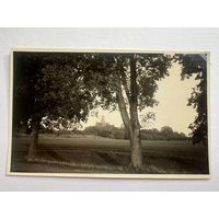 Старинное фото вид на замок -03
