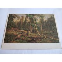 Открытка 1985г. И. Шишкин. Рубка леса.