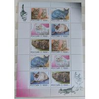 Россия 1996 Коты