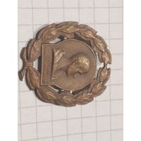 Значок Швеция ассоциайия гимнастики