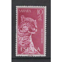 Испанская Сахара 1960**  Фауна Хищные кошки Леопард