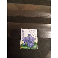 2017 Латвия флора цветы (2-4)