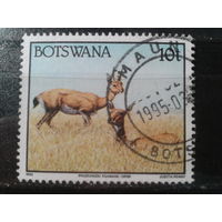 Ботсвана, 1992. Стандарт. Антилопа ориби