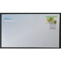 Австралия 2024  КПД морская фауна .