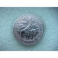 5000 квача 2003г. Замбия "Дикая природа Африки. Слон" Слоны СЕРЕБРО 999