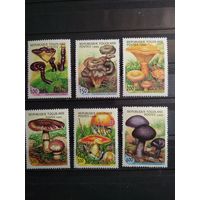 Того 1999 г. Грибы.