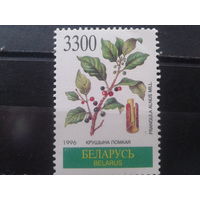 Беларусь, 1996. Крушина ломкая**