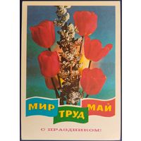 С праздником! Мир,труд,май. Чистая. Худ.Г.Ренков. 1977 г.